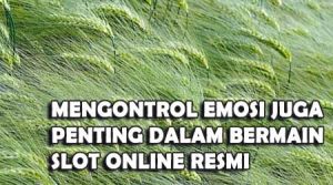kontrol emosi slot online